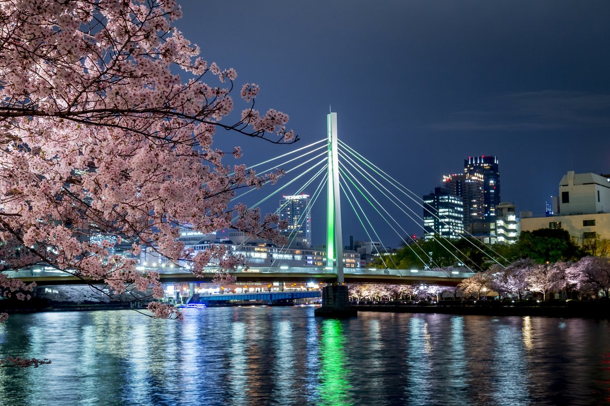 🏞️ 카와조코 연못 이미지 4